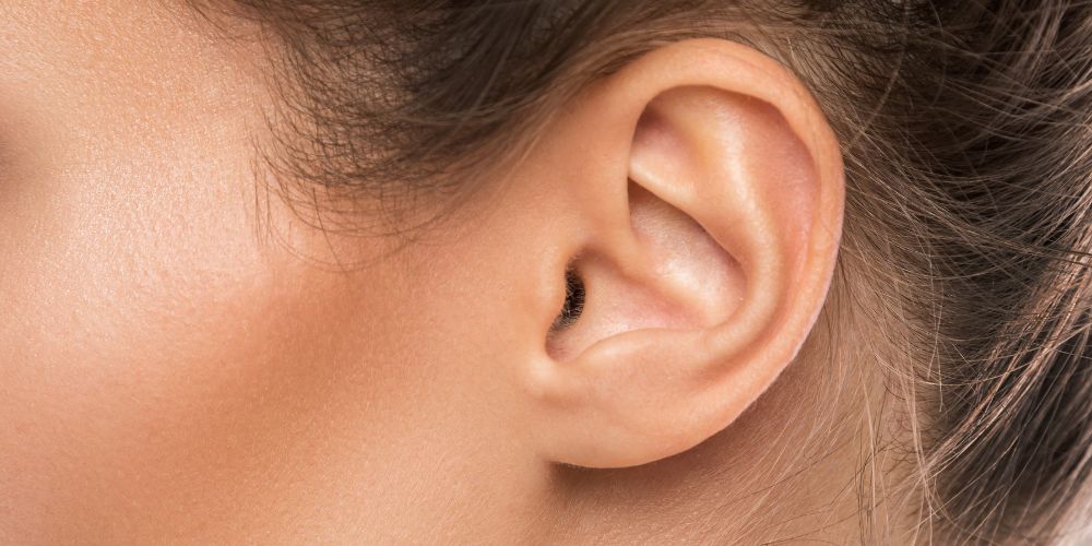 Come funziona l’orecchio?